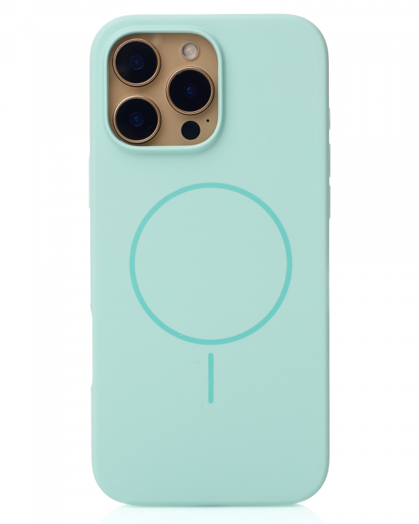 Чехол MagSafe Silicone Beats Case для iPhone 16 Pro succulent